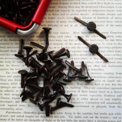 [MET007]50pics Retro Bronze Brads Diy Embellishment Decoration Scrapbooking JunkJournal Handmade Photo Album Frame Decoration