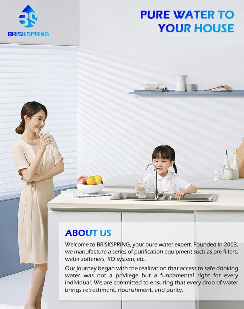 Description Picture 2 of itemBriskSpring Micro Nano Bubble Generator For Overhead Shower G1/2“ Ultra-Fine Bubble For Shower Head Filter Bathroom Accessories