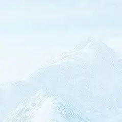 Main picture