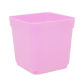 Pink 5.5cm