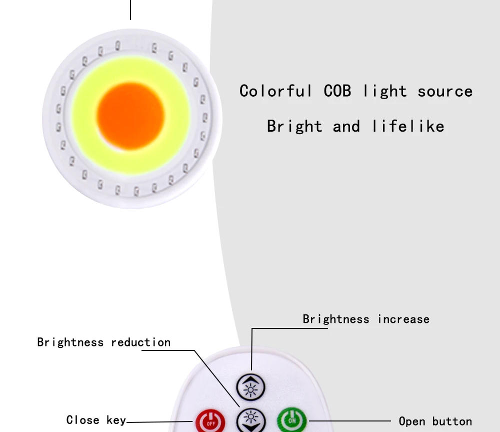 Description Picture 6 of itemSelling LED COB RGB Chip Light LED Spotlight Lamp 220V No Need Driver for Floodlight Lampada DIY Lighting with Remote Controller