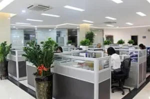 Description Picture 3 of item20pcs Thicken Picture Frame with Keyhole Hangers and Painting Hangers Hot Sale DES VIS