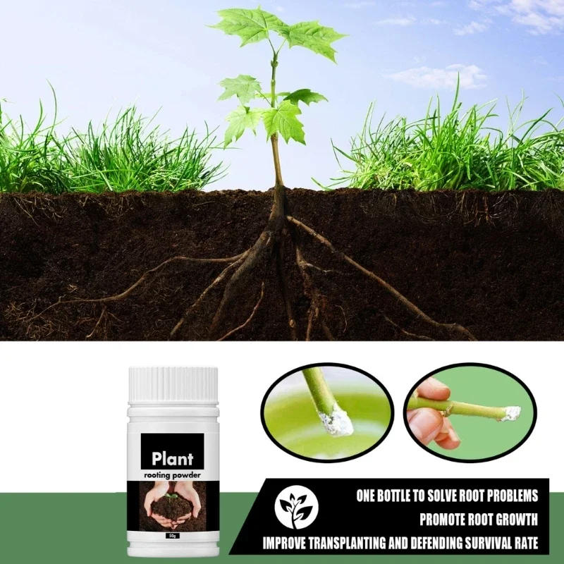 Description Picture 4 of itemRapid Rooting Powder Fast Rooting Powder for Extra Fast Root Plant Flower Transplant Fertilizer Plant Grow Improve Survi
