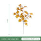 SJ-SFY-HS-A07397