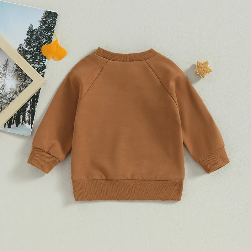 Description Picture 3 of itemBaby Hoodie Long Sleeve Crew Neck Sweatshirt Letters Sun Print Fall Clothes for Girls Boys
