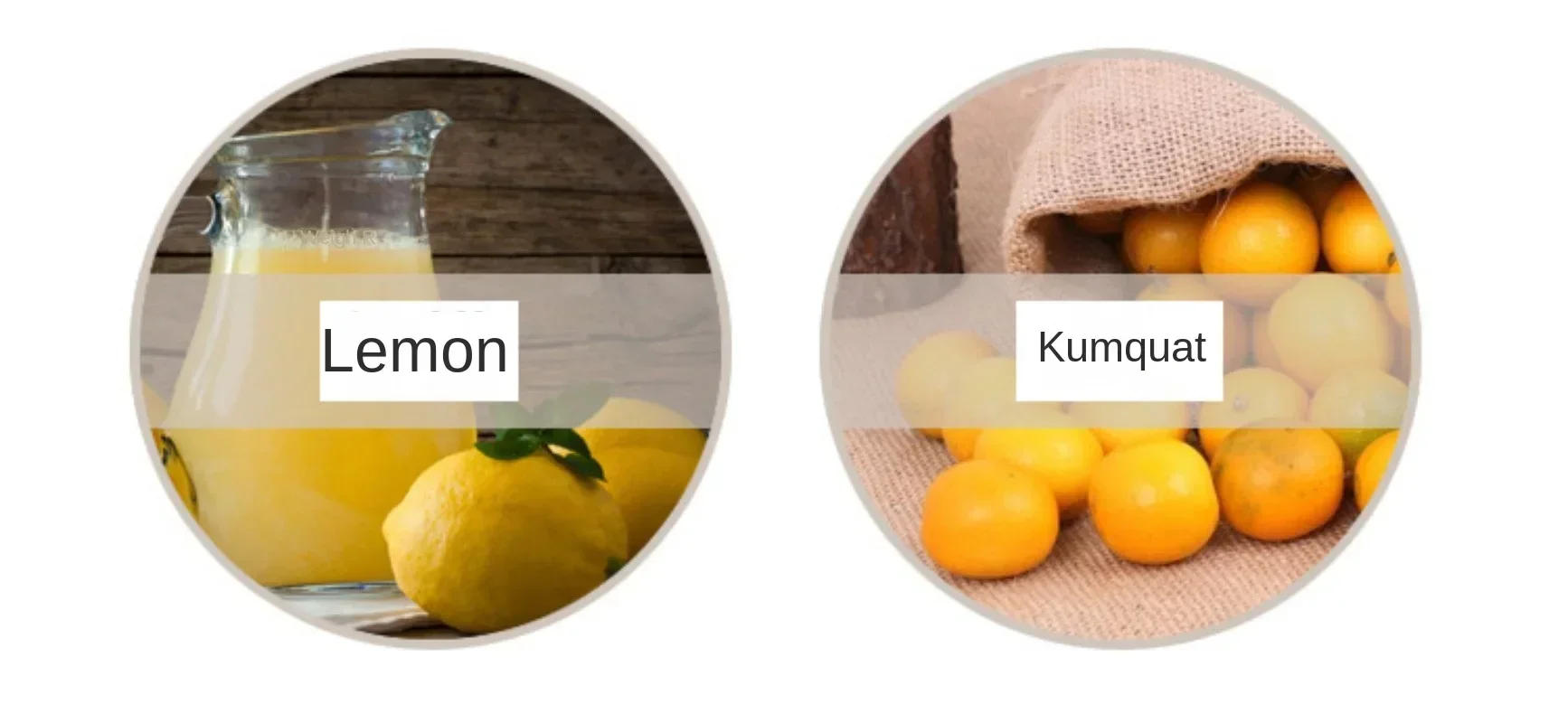 Description Picture 6 of item2024 Home Manual Lemon Squeezer Aluminum Alloy Hand Pressed Orange Fruit Juicer Portable Practical Kitchen Tools Mini Blender