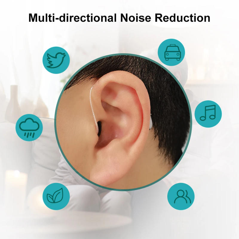 Description Picture 4 of itemRechargeable Digital 10 Channels Hearing Aid Sound Amplifiers Ear Aids for Elderly Hearing aids for deafness Moderate audifon