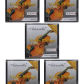 Violin AV10 5 Set