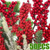 Slide image ab6229f1e6cf42f99ed7c089d87668fe