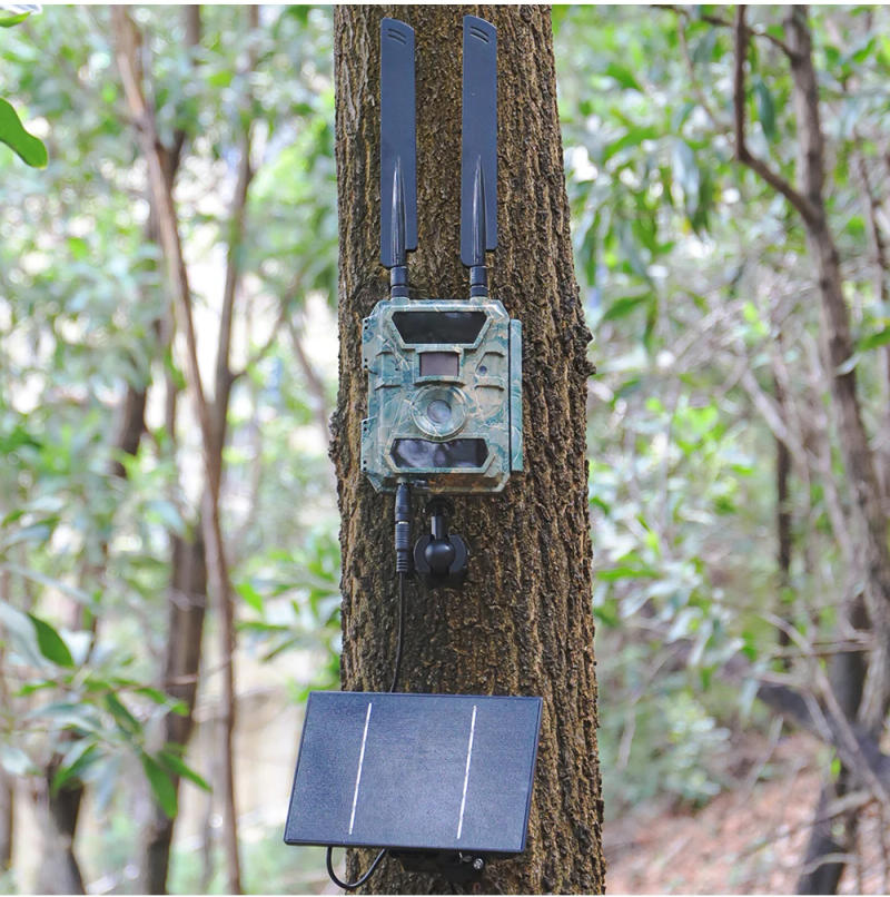 Description Picture 4 of itemD4 Solar Panel Charger built in 18650 battery 4w Mini Solar Power Charger 6v 5v output Type DC USB interface for Security Camera