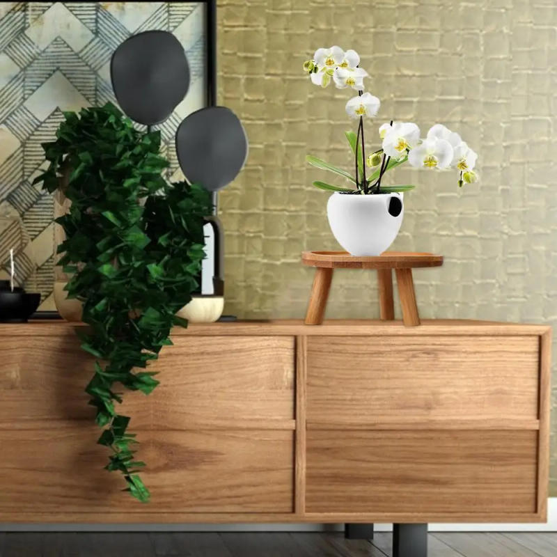 Description Picture 5 of itemWooden Plant Holder Stool Multifunctional Small Round Table For Potted Plant Fish Tank Indoor Plant Pot Display Stand Home Decor