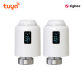 TRV602Z 2PCS