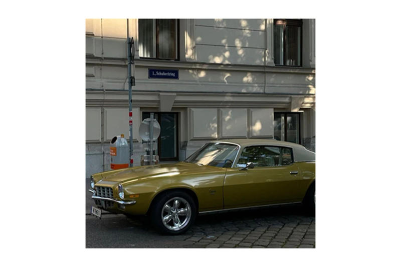 Description Picture 4 of itemZABA women's suit fashion with belt hanging neck halter V-neck top + casual high-waisted pleated suit pants two-piece set