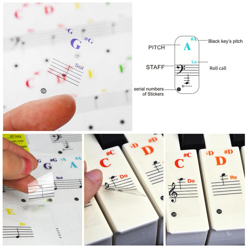 Description Picture 6 of itemTransparent Colorful Pianos Keyboards Stickers Notes 15.5x40mm For 88/61/49/37 Keys Beginners Musical Instrument DIY Decoraction