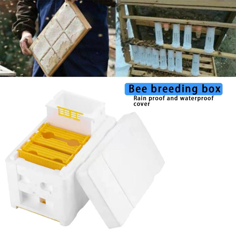 Description Picture 6 of itemMulti-Function Beehive Beekeeping King Box Foam Home Bee Hive Pollination Boxes Harvest Bee Hive Beekeeper Mating Supplies