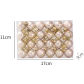 Champagne -24pcs