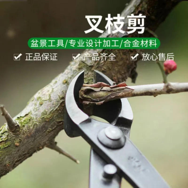 Description Picture 2 of itemGarden Tree Branch Cutting Forged Steel Round Head Scissors Bonsai Tools Garden Tree Cutting Bonsai Shaping Tools