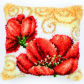 W-BZ855-43-43