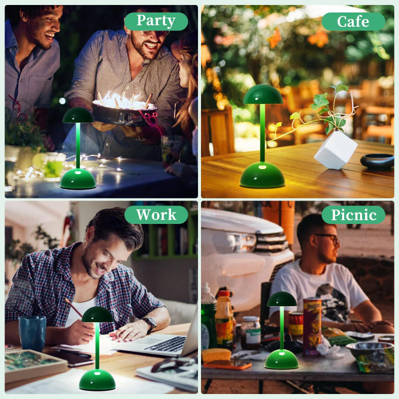 Description Picture 6 of itemRechargeable LED Mushroom Lamp BOOK Reading Light Bedside Eye Caring Dimmable Lighting Touch Control Desk Lamp Night Lamp