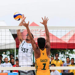 Professional Volleyball Net for Training and Competition - Compatible with Standard Volleyball Stands