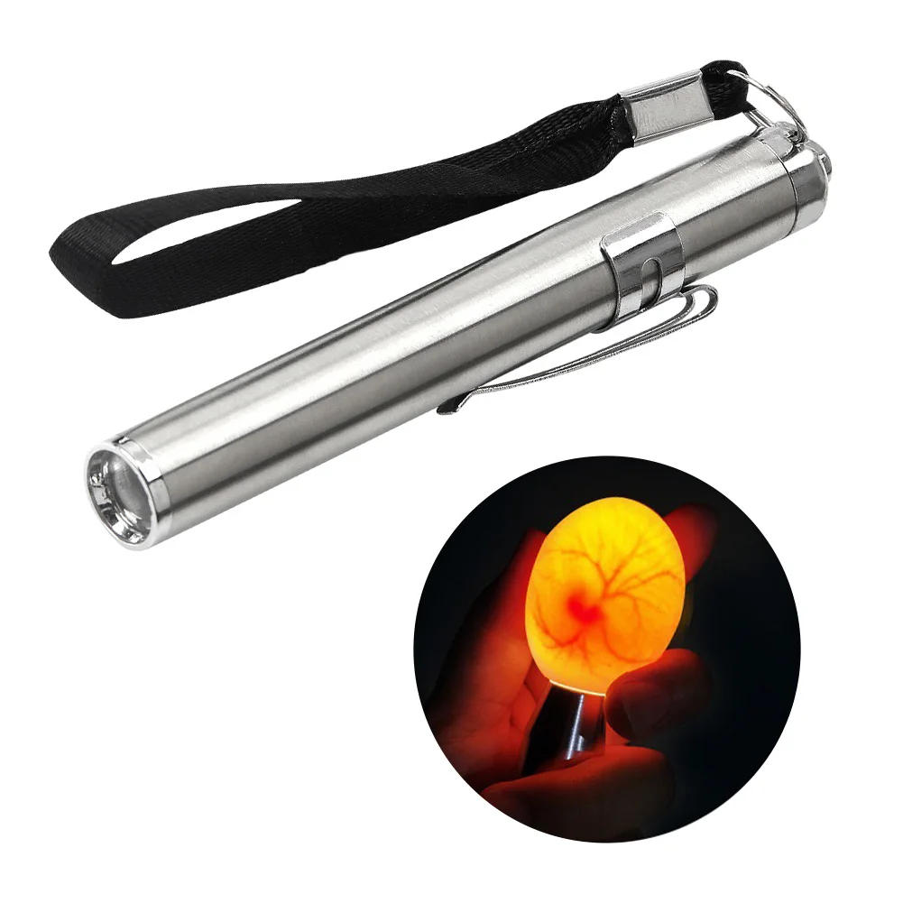 Description Picture 2 of itemLED Egg Detector Lamp Egg Flashlight Eggtester Hatching Equipment Incubation Tool for Chicken Quail Duck Canary Eggs