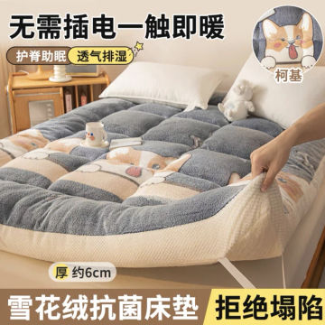 Tatami Comfortable Mattress Student Dormitory Single Velveteen Warm Soft Mattress Household Thicken Bed mattresses floor mat