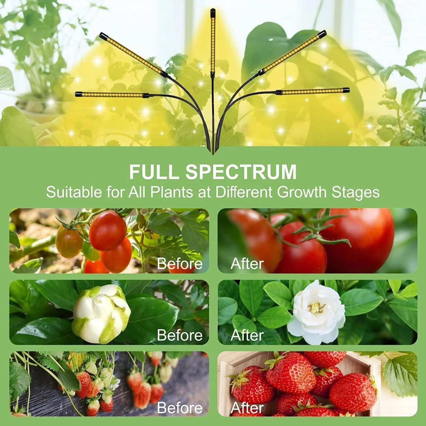 Description Picture 6 of item3000K Tripod USB Phyto Lamp Full Spectrum Hydroponics Bulb LED Grow Light Indoor Plants Lamp Greenhouse Veg Flower Phytolamp