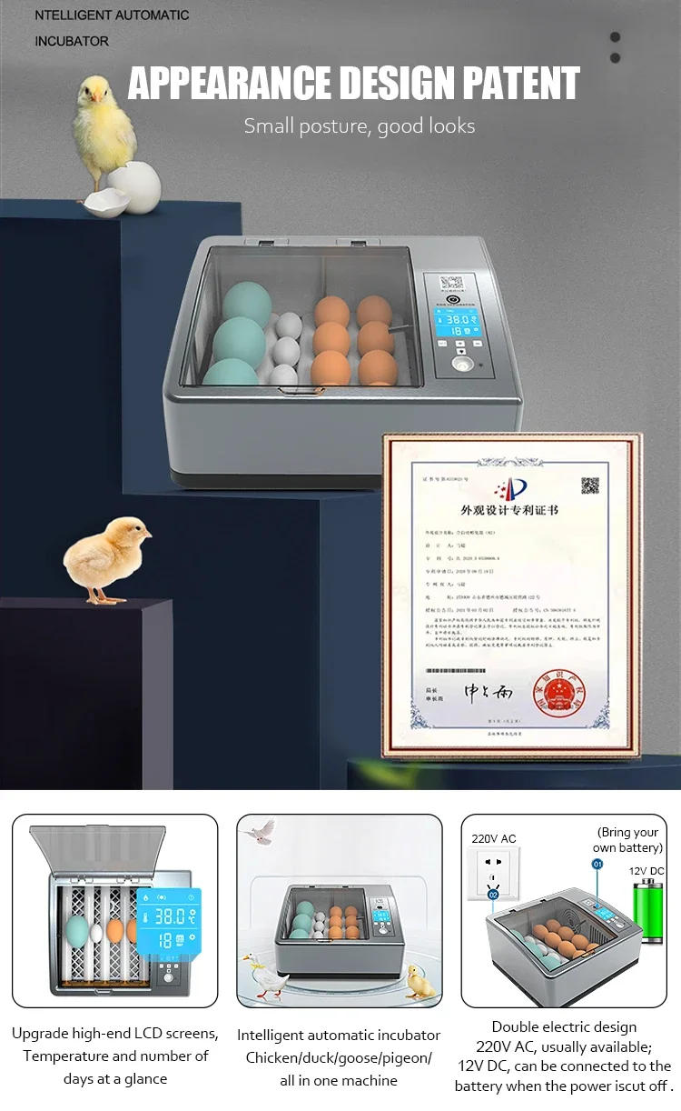Description Picture 6 of itemAli Top Seller Fully Automatic Multifunctional Smart Home Teaching Experiment Children Small 9-16 Eggs Incubators