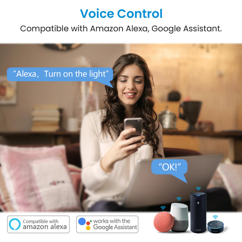 Description Picture 3 of itemLoraTap Tuya Smart Life WiFi Switch Relay Module Breaker 15A Inching Timer Voice Control by Google Assistant Alexa Echo DIY