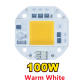 Warm White 100w