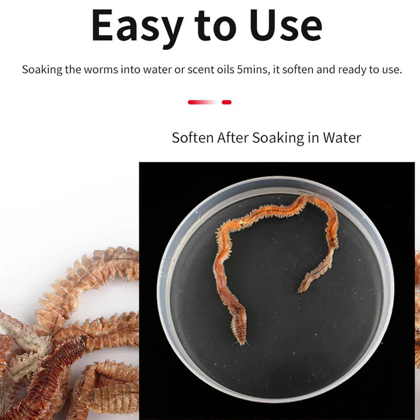 Description Picture 6 of item1 Bag 6-10g Natural Live Dry Sandworm Bait Freshwater Saltwater Rearing Catfish Fishy Smell Insect Soft Bait Natural Bait