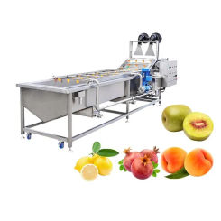 Industrial Automatic Herb Vegetable Lettuce Shrimp Fruit Washer Bubble Cleaning Washing Machine