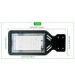 black-100w-220v