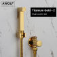 Titanium Gold-2