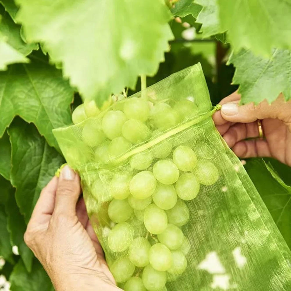 Description Picture 4 of item50/100Pcs Fruit Protection Netting Bags with Drawstring Reusable Grape Grow Bags Strawberry Cover Mesh Bags for Pest Control