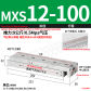 MXS12-100