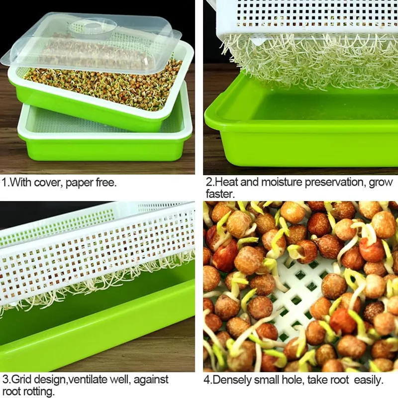 Description Picture 3 of item1set Sprouting Tray With Cover Pea Bean Wheat Seedling Germination Plate Cat Grass Wheatgrass Soilless Hydroponics Planting Pots