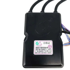 AC 220V Big Volume Strong Row Gas Water Heater Pulse Ignition With Over Temperature Protection Device