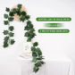 36leaves-B