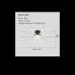 10 Lights-Black