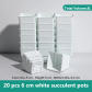 20 pcs 6 cm white