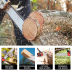 Slide image f1e162ebbad44ab6a3edf99bd5f045a9