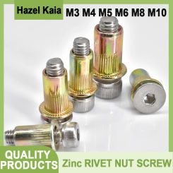 M6 Rivet Nut Bolt M3 M4 M5 304 Stainless Steel Allen Screw M8 M10 Zinc Plate Rivet Nut Pop Rivnut M3-M10 Hexagon Allen Bolt Kit