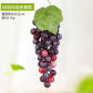60Heads Grapes Mixed