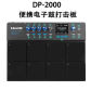 DP-2000