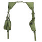 Green Holster