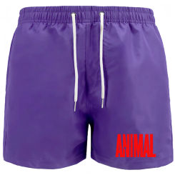 Men's summer loose pants breathable lining elastic quick-drying shorts lovers beach jogging fitness leisure swimming beach pants