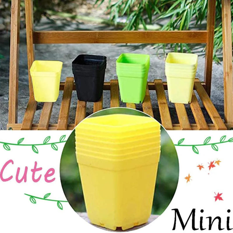 Description Picture 2 of item20pcs Color Mixing Mini Square Plastic Flower Pot With Holes Plant Tray Garden Tools Planting Tools Home Decor 5.5cmx5.5cmx4.5cm