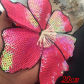 big deep pink