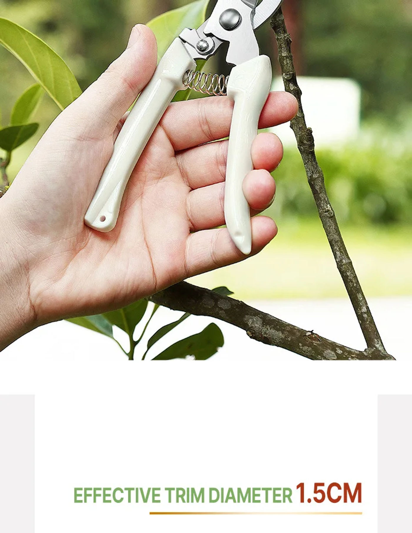 Description Picture 6 of itemPruning Garden Scissors Professional Garden Trimmer Orchard Scissors Hand Tools Bonsai Gardening Chopper Pruning Scissors